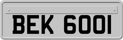 BEK6001