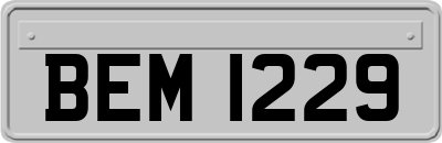 BEM1229