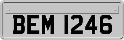 BEM1246