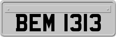 BEM1313