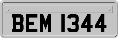 BEM1344