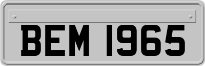 BEM1965