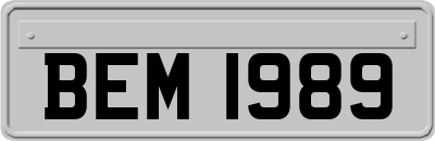 BEM1989