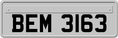 BEM3163