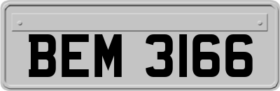 BEM3166