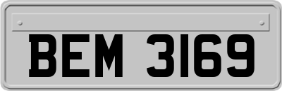 BEM3169