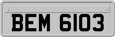 BEM6103