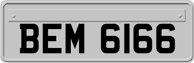 BEM6166