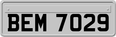 BEM7029