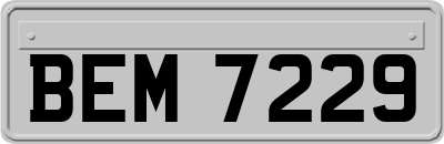 BEM7229