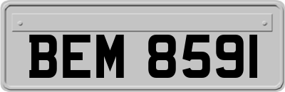 BEM8591