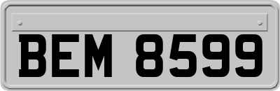 BEM8599