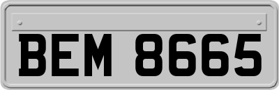 BEM8665
