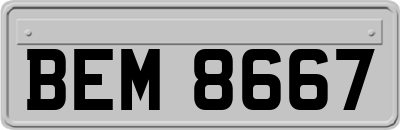 BEM8667