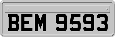 BEM9593