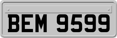 BEM9599