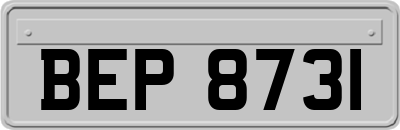 BEP8731