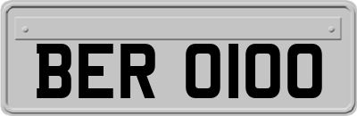 BER0100