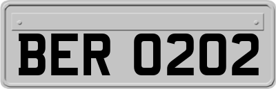 BER0202