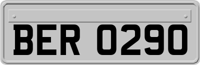 BER0290