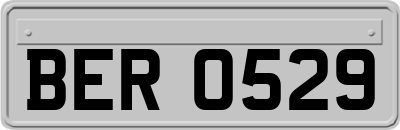 BER0529