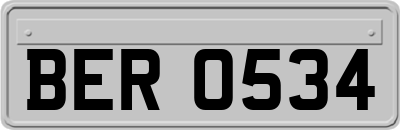 BER0534