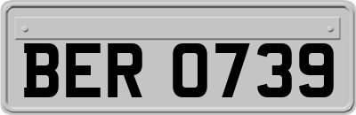 BER0739