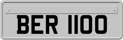 BER1100