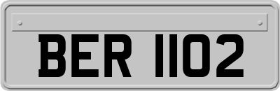 BER1102