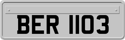 BER1103