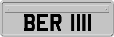 BER1111