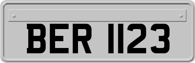 BER1123