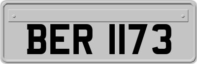 BER1173