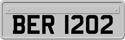 BER1202