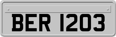 BER1203