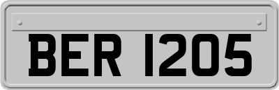 BER1205