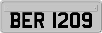 BER1209