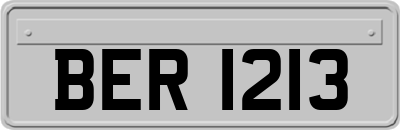 BER1213