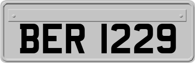 BER1229