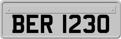 BER1230