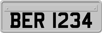 BER1234