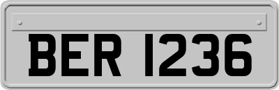 BER1236