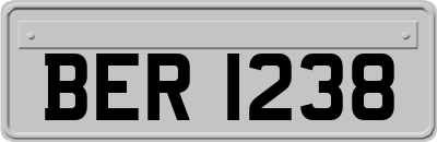 BER1238