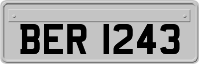 BER1243