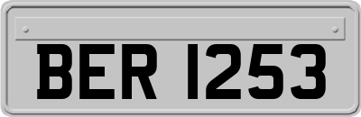 BER1253