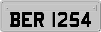 BER1254