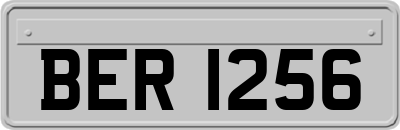 BER1256