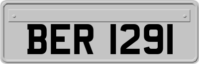 BER1291