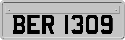 BER1309