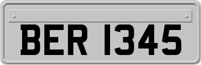 BER1345